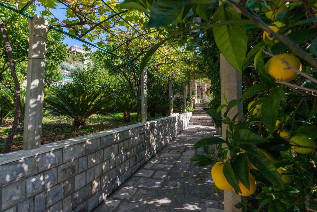 Apartment Beti Lopud Εξωτερικό φωτογραφία
