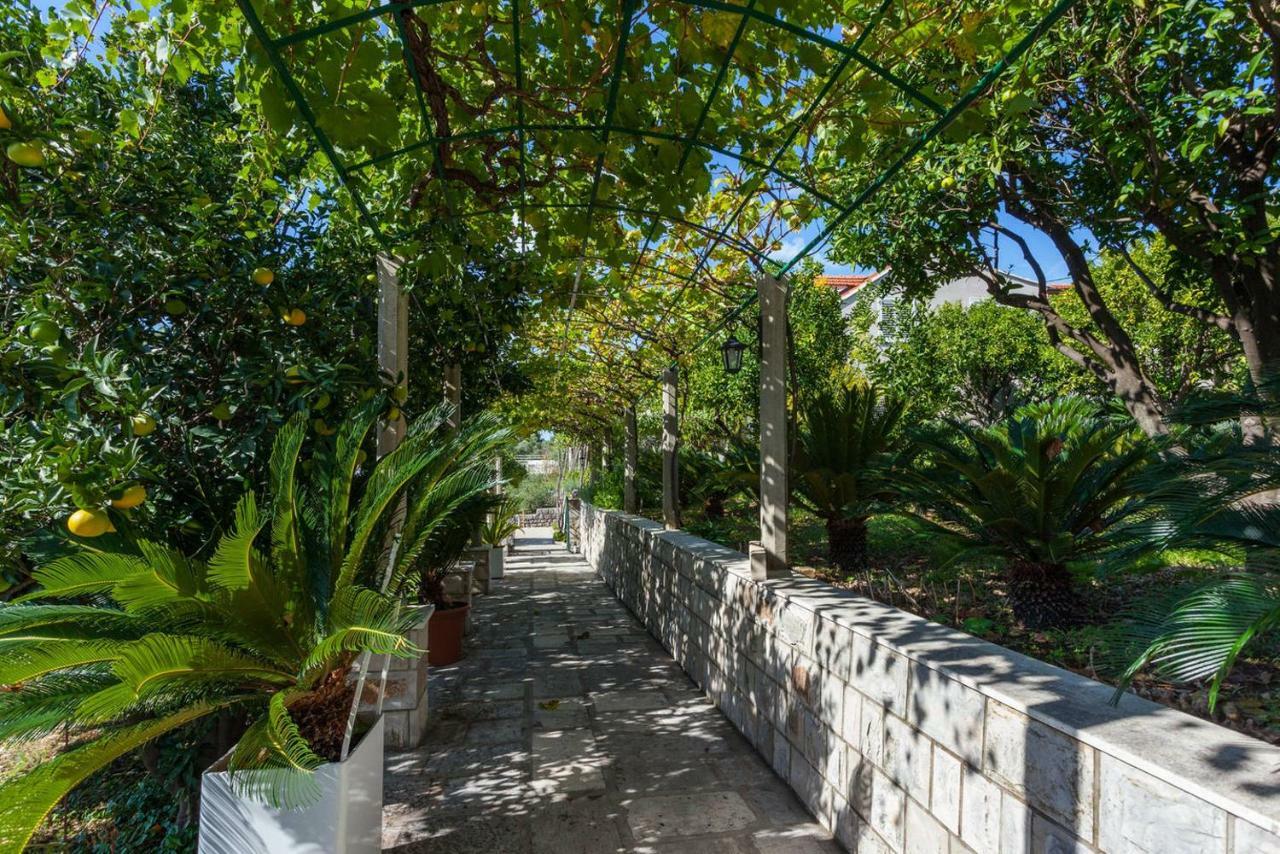 Apartment Beti Lopud Εξωτερικό φωτογραφία